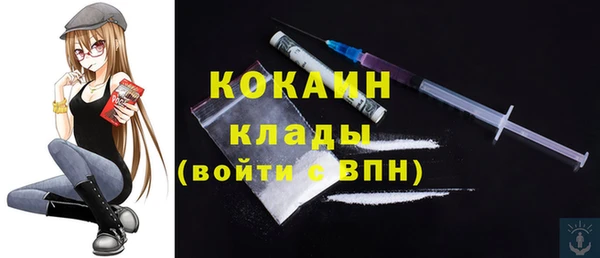 шишки Лагань