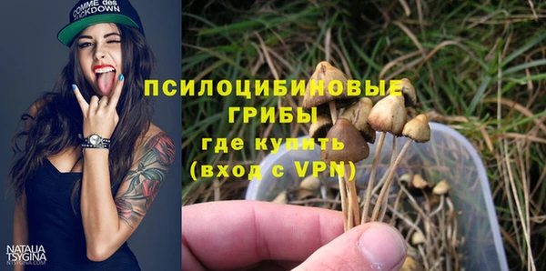 мдпв Липки