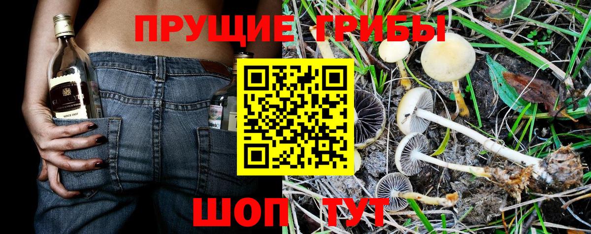 Галлюциногенные грибы MAGIC MUSHROOMS  Галлюциногенные грибы Psilocybine cubensis  Вход с VPN  Туапсе 