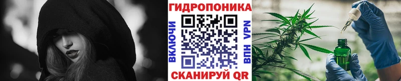 Шишки марихуана план Туапсе